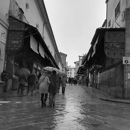 בית הארחה Lost In *